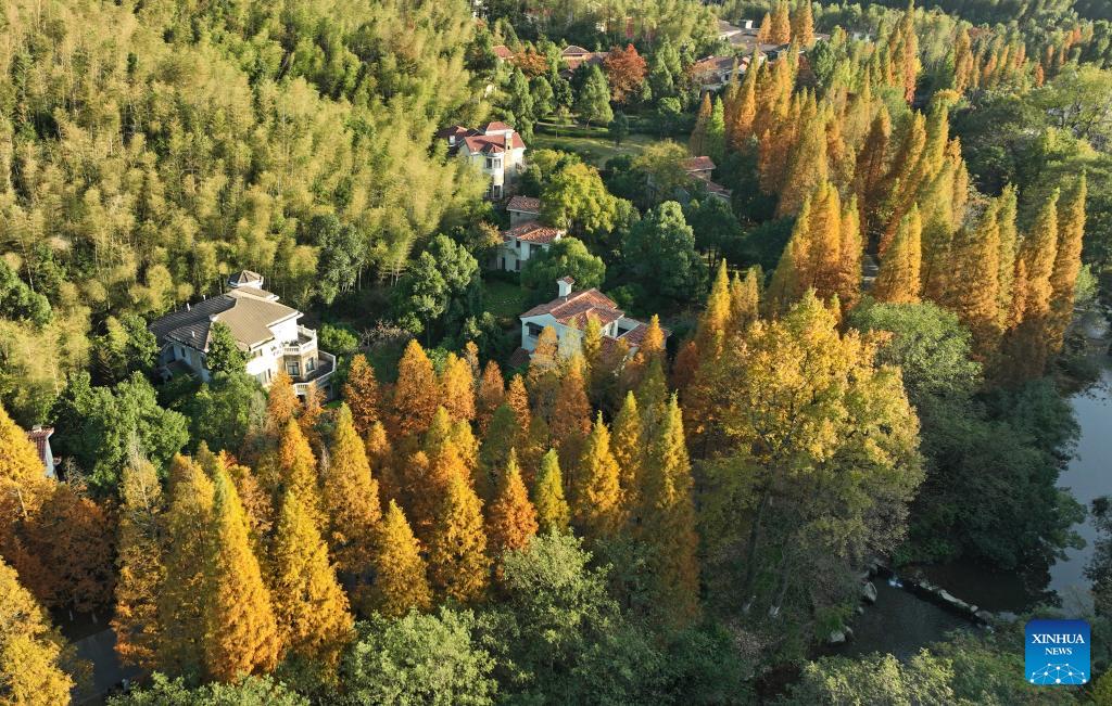 Schöne Landschaft des Nationalen Waldparks in Nanchang China org cn