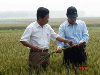 中国は長期的に農村経済の発展を促すメカニズムの構築に取り組んでいる。食糧は3年連続で増産し、食糧単位面積の生産量は史上最高水準となり、主要農産物の品質も全面的に向上した。