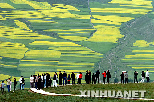 游客在祁连山下观赏风景如画的油菜花景区（7月27日摄）。地处青藏高原北缘、祁连山中段的青海省海北藏族自治州祁连县素有“天境祁连、牧区江南”之美誉，这里自然景观壮美，民族风情浓郁，并因有中国最美的六大草原之一的祁连山草原而闻名海内外。     新华社记者侯德强摄 