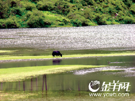 四姑娘山海子沟 