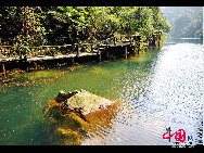 関東省肇慶市の北東部にある鼎湖山は、中国南部の名山であり、中国最初の自然保護区でもある。山頂には一年中涸れない湖があり、その周辺の景観は非常に美しい。    「チャイナネット」　2009年10月20日 