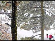 11月に33年ぶりの大雪に見舞われた江西省の盧山では、雨氷や樹氷、雪氷が現れ、いつもとは全く違う風景が広がった。「チャイナネット」2009年12月1日
