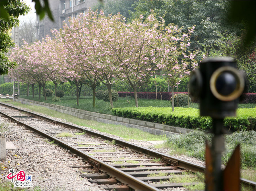 地理中国：2014，坐着火车看春天