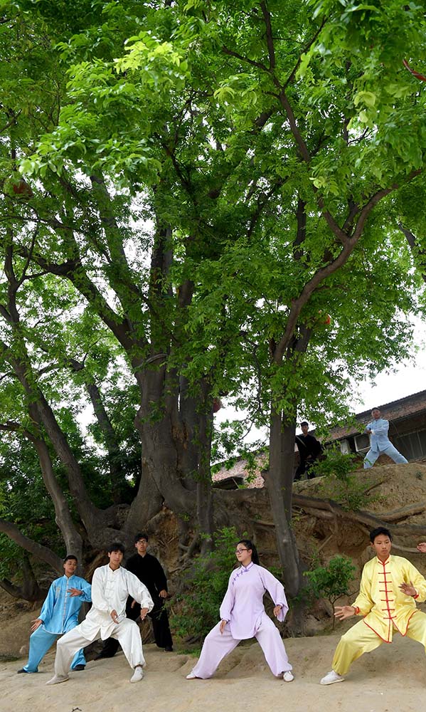 在河南省温县陈家沟，学员在习练太极拳（4月26日摄）。