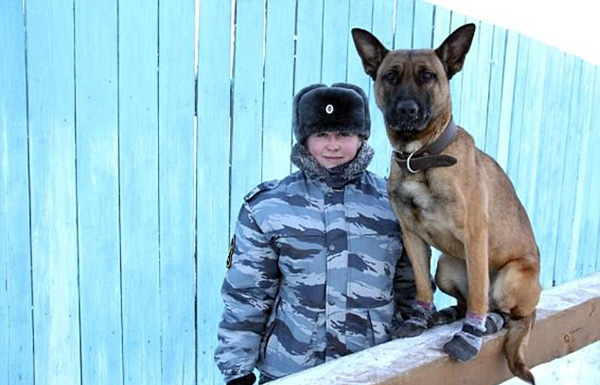 ロシアの刑務所 韓国からクローン犬を導入 中国網 日本語