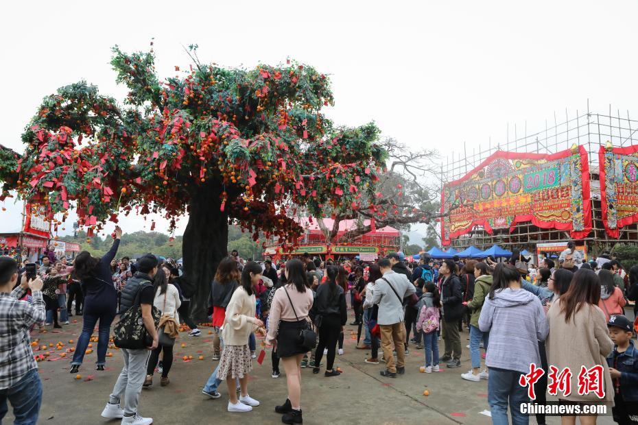 願いを込めた札を木に向かって投げる「許願樹」イベント　香港地区