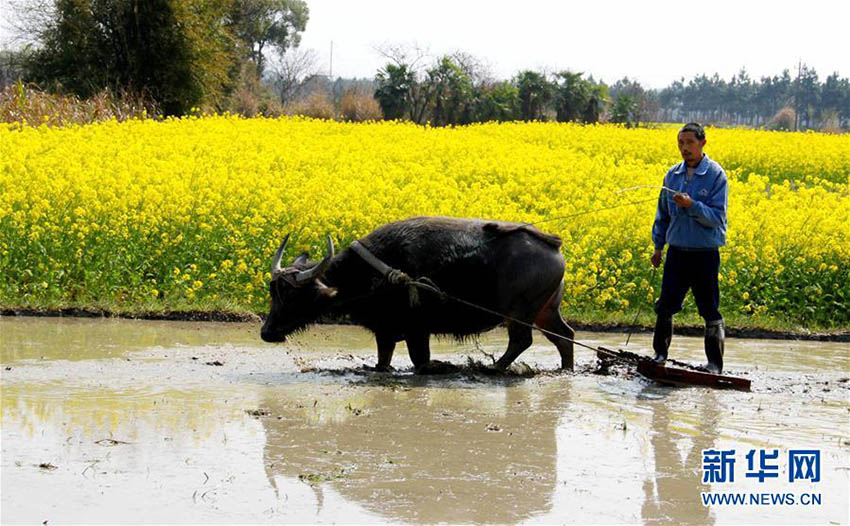 春分到来　春の繁忙期に突入する中国各地の農家