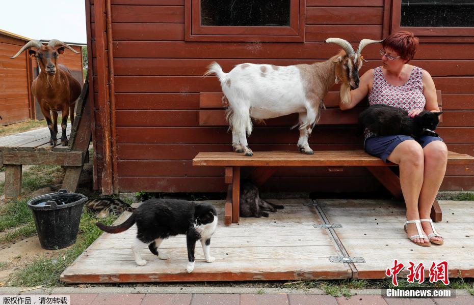 ベルギー女性 動物の 介護施設 を開設 中国網 日本語