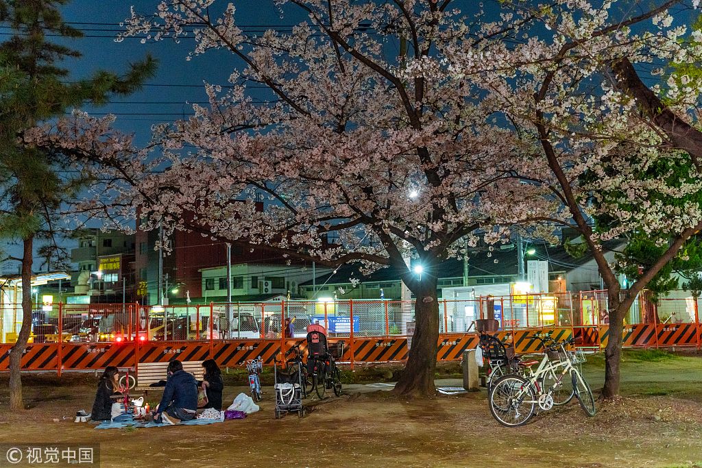 東京の仙台堀川公園で桜祭り 住民が花見 中国網 日本語