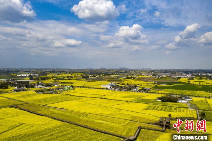 四川：春暖花开扮靓天府大地