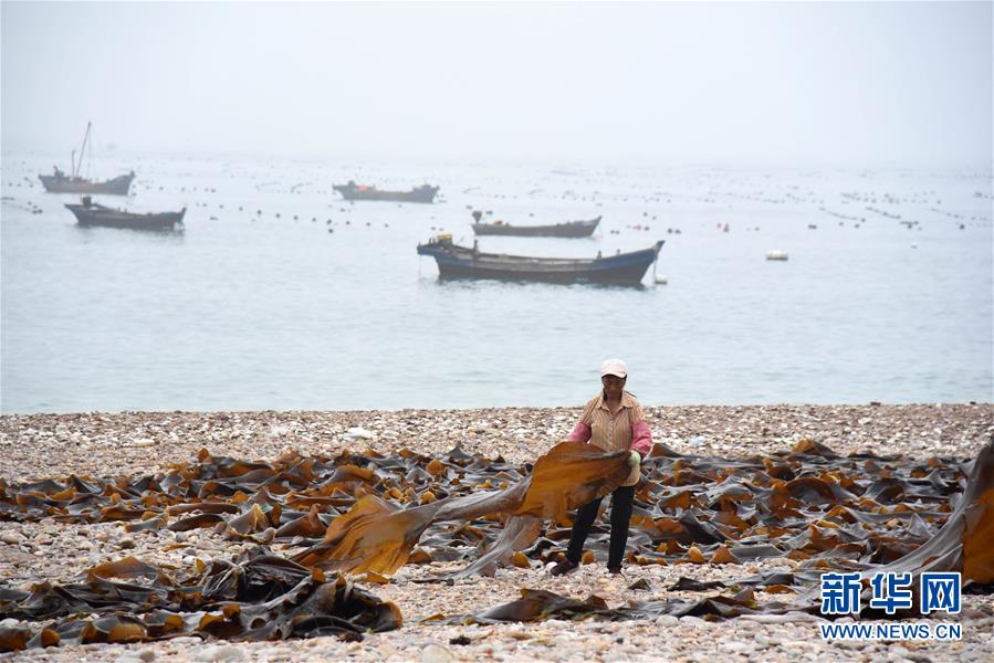 （经济）（4）山东南隍城岛：特色海洋经济助海岛渔民致富奔小康