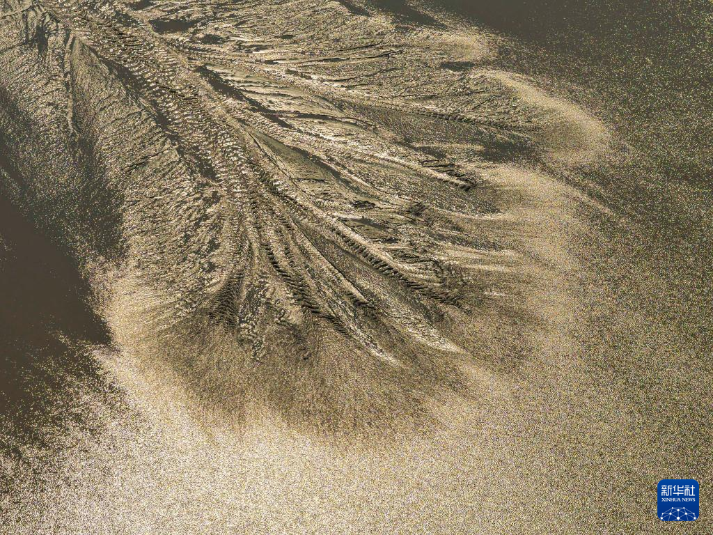 銭塘江に「木」が出現 潮汐が描く自然のアート_中国網_日本語