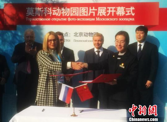 Пекинский и Московский зоопарки подписали Меморандум о сотрудничестве: развитие обмена редкими животными