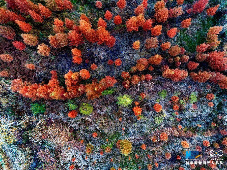 Есть одна красота – осенний пейзаж на холмах Хуанбай