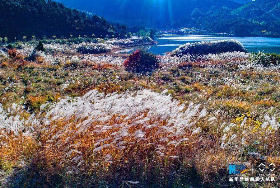 Есть одна красота – осенний пейзаж на холмах Хуанбай