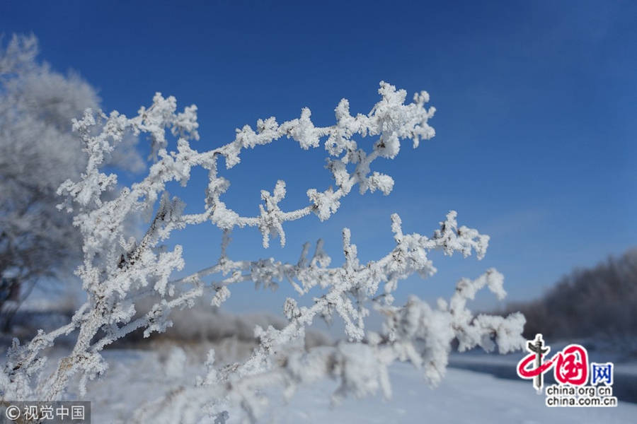 На фото: 19 ноября, несколько дней подряд в г. Хулун-Буире шел снег, укрывая все серебряным нарядом.