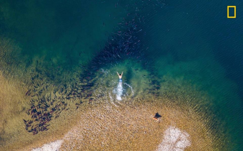 National Geographic опубликовал лучшие фото природы 2017
