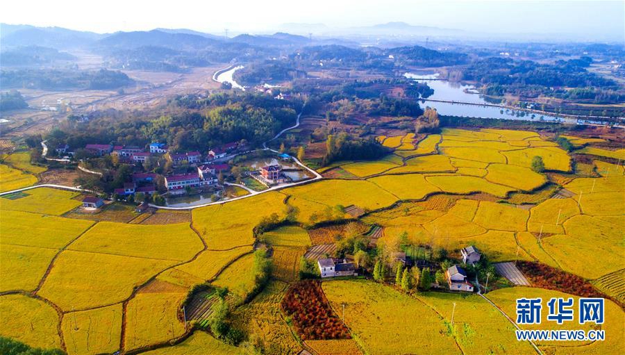 Живописные осенние сельские пейзажи в уезде Шучэн, пров. Аньхой
