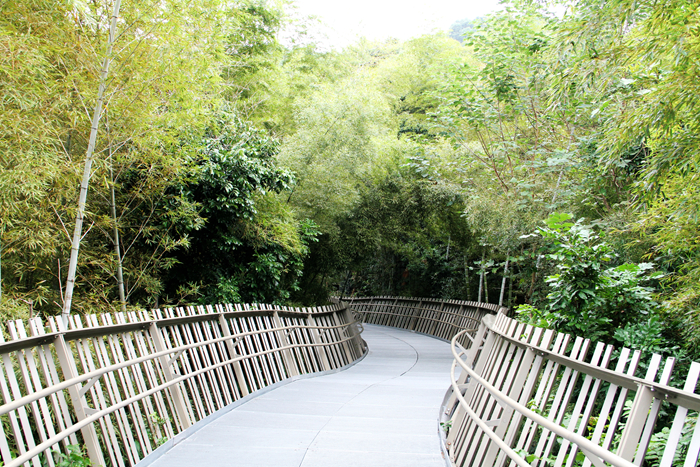 «Зеленый» город Фучжоу раскрывает свои объятия для туристов: прогулка по «дороге счастья»