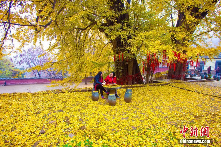 Очаровательные осенние пейзажи в горах Тайшань, пров. Шаньдун