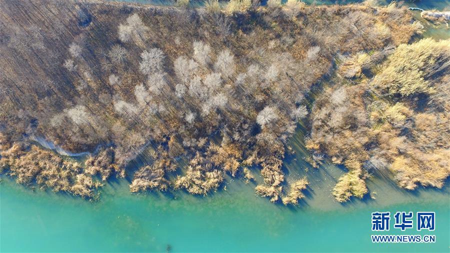 Зимняя красота парка водно-болотных угодий Цихэ