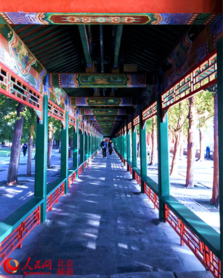 Чудо в парке «Ихэюань» привлекает тысячи туристов