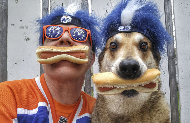 Канадская собака-эквилибрист Канадская собака-эквилибрист