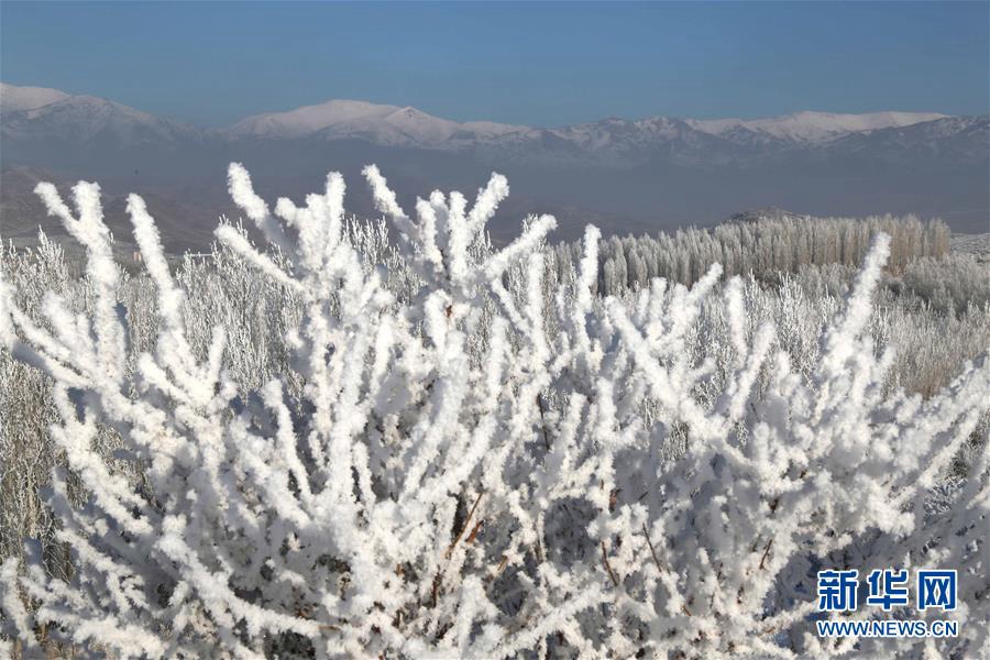 Красивая изморозь в районе Алтай, СУАР