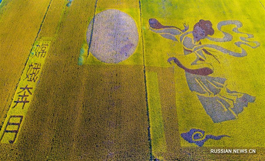 В 2017 году летающие фотодроны под управлением корреспондентов Синьхуа облетели вдоль и поперек просторы Китая, запечатлев недоступную ранее для глаз поэтическую красоту природных и рукотворных ландшафтов.