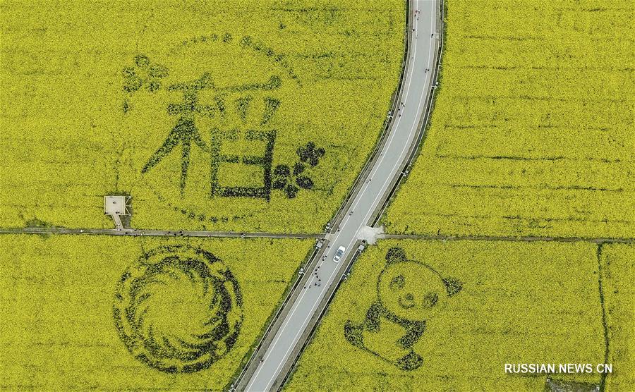 В 2017 году летающие фотодроны под управлением корреспондентов Синьхуа облетели вдоль и поперек просторы Китая, запечатлев недоступную ранее для глаз поэтическую красоту природных и рукотворных ландшафтов.