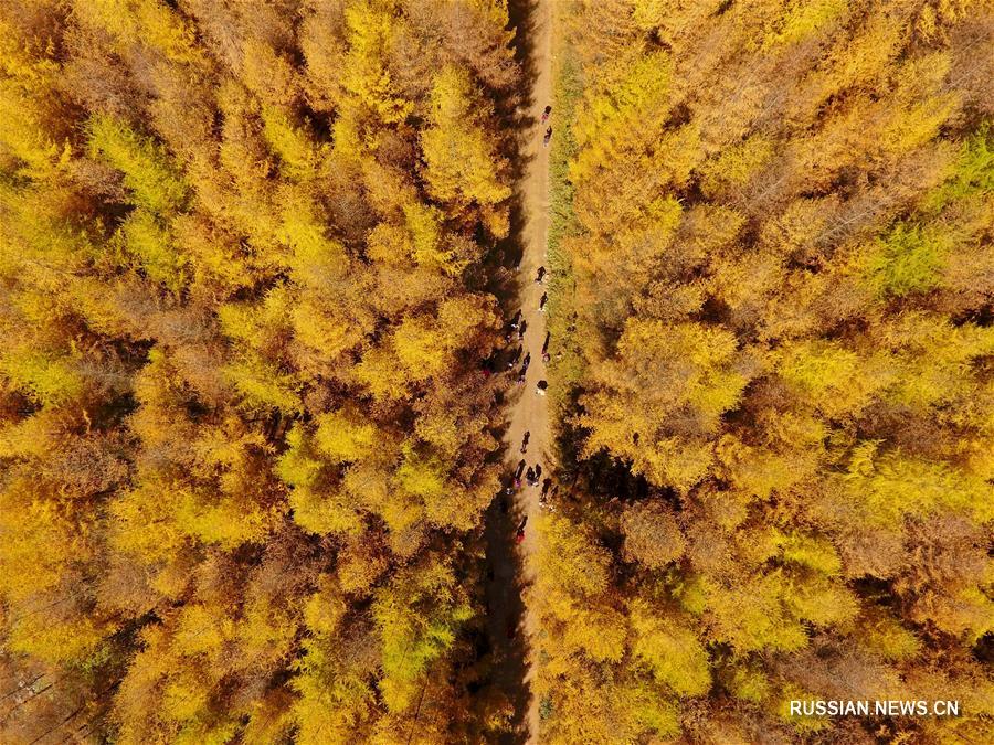 В 2017 году летающие фотодроны под управлением корреспондентов Синьхуа облетели вдоль и поперек просторы Китая, запечатлев недоступную ранее для глаз поэтическую красоту природных и рукотворных ландшафтов.