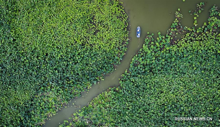 В 2017 году летающие фотодроны под управлением корреспондентов Синьхуа облетели вдоль и поперек просторы Китая, запечатлев недоступную ранее для глаз поэтическую красоту природных и рукотворных ландшафтов.