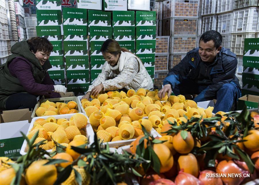 Для местных крестьян производство пупковых апельсинов с последующей реализацией через Интернет стало эффективным способом борьбы с бедностью. 