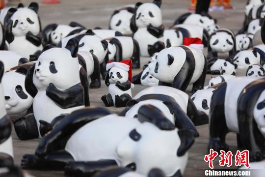 На улицах Чанчунь появилась инсталляция панд