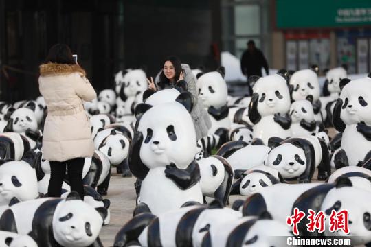 На улицах Чанчунь появилась инсталляция панд