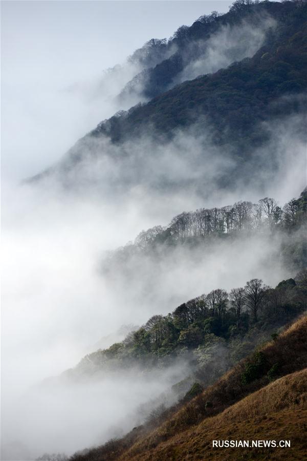 Облачное море и изморозь в геопарке Мяолин