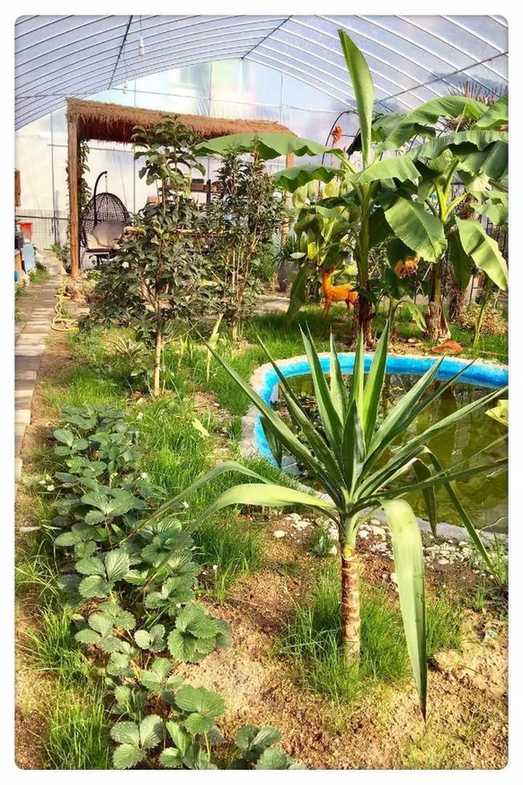 Девушка из города Ханчжоу собственноручно превратила целину в красивый сад