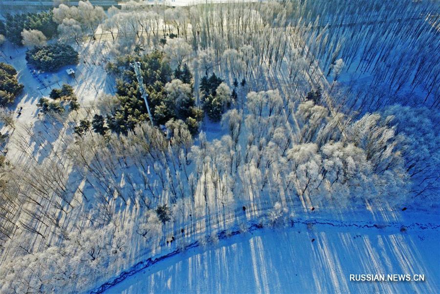 Зимний Шэньян украсила изморозь