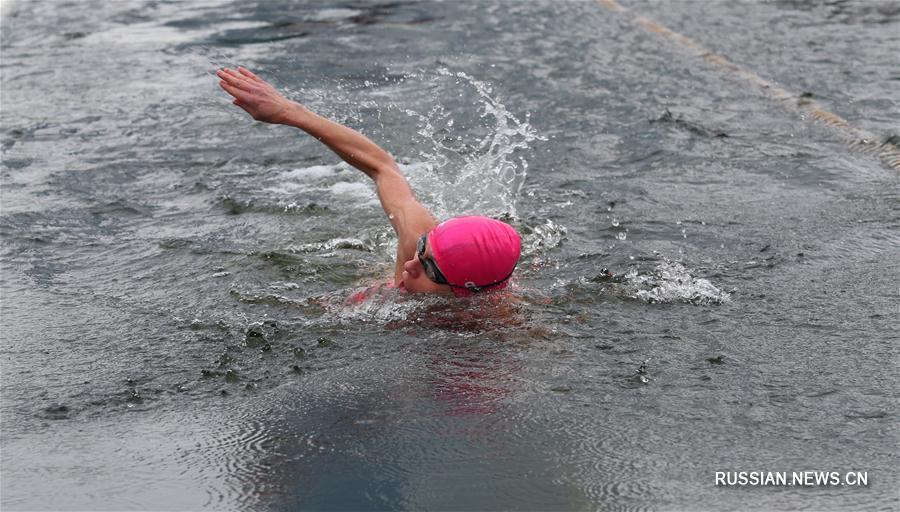 В Минске стартовал 3-й открытый чемпионат Беларуси по спортивному зимнему плаванию