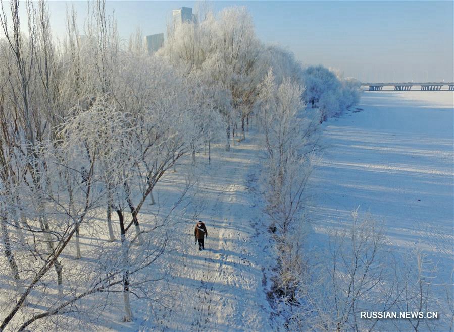 Зимний Шэньян украсила изморозь
