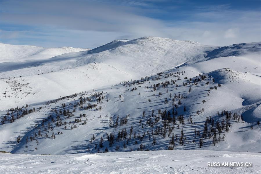 Любители горных лыж и сноуборда в эти дни наслаждаются катанием по натуральному снегу в парке Есюэ, который расположен в Алтайских горах округа Алтай Синьцзян-Уйгурского автономного района /Северо-Западный Китай/.