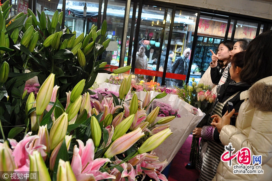 С приближением Праздника весны на цветочном рынке Шанхая «Ланьлин» появились разнообразные цветы, привлекая покупателей. На рынке царит глубокая праздничная атмосфера.