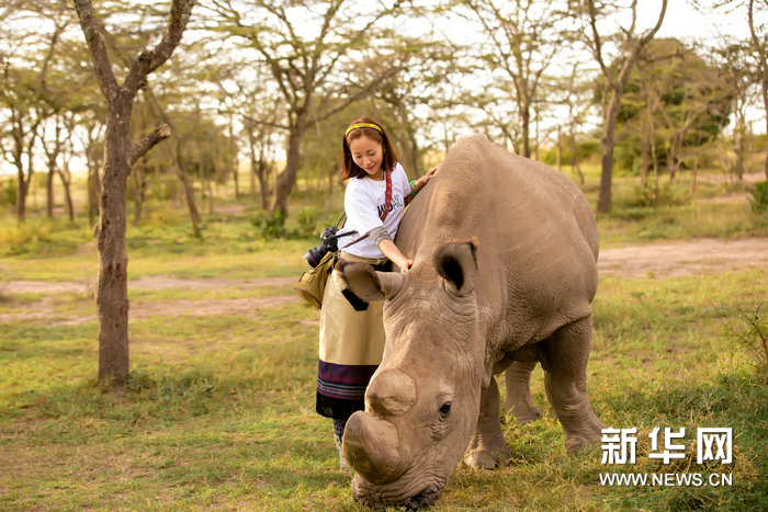 Красавица Цзян Иянь на съемках телепередачи по защите носорогов 