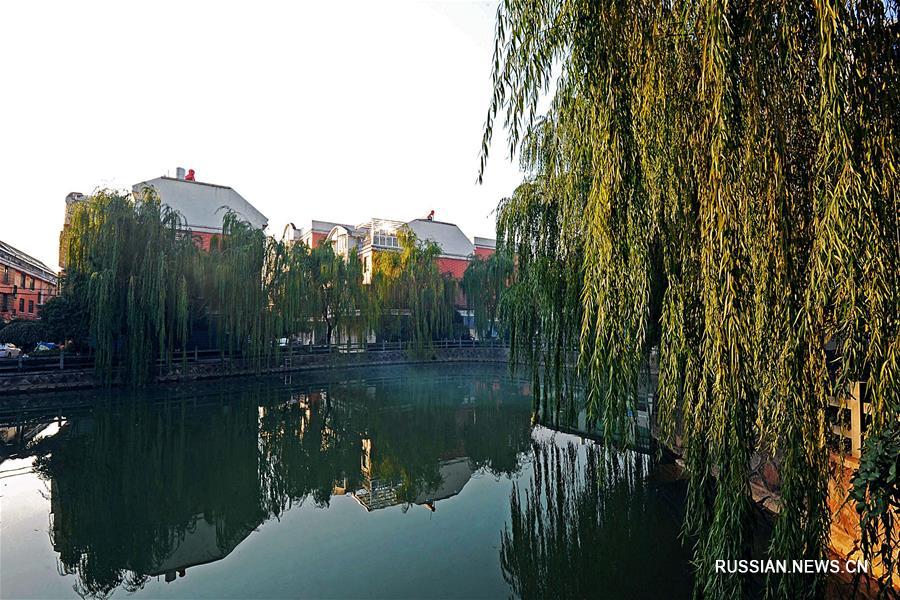 Чжэцзян 33-й год подряд лидирует среди провинций и автономных районов Китая по среднедушевому доходу сельских жителей