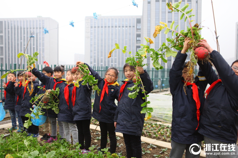 «Экологическая ферма» на крыши учебного корпуса начальной школы Пуцзя г. Ханчжоу