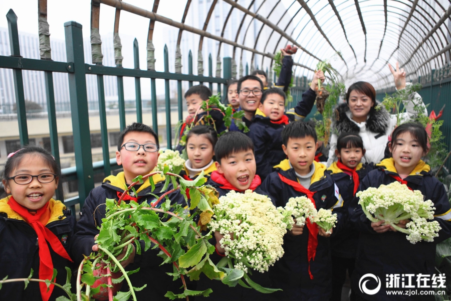 «Экологическая ферма» на крыши учебного корпуса начальной школы Пуцзя г. Ханчжоу