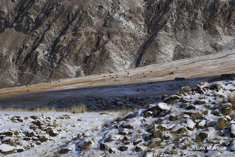 "Долина жизни" на высоте 2000 м над уровнем моря 