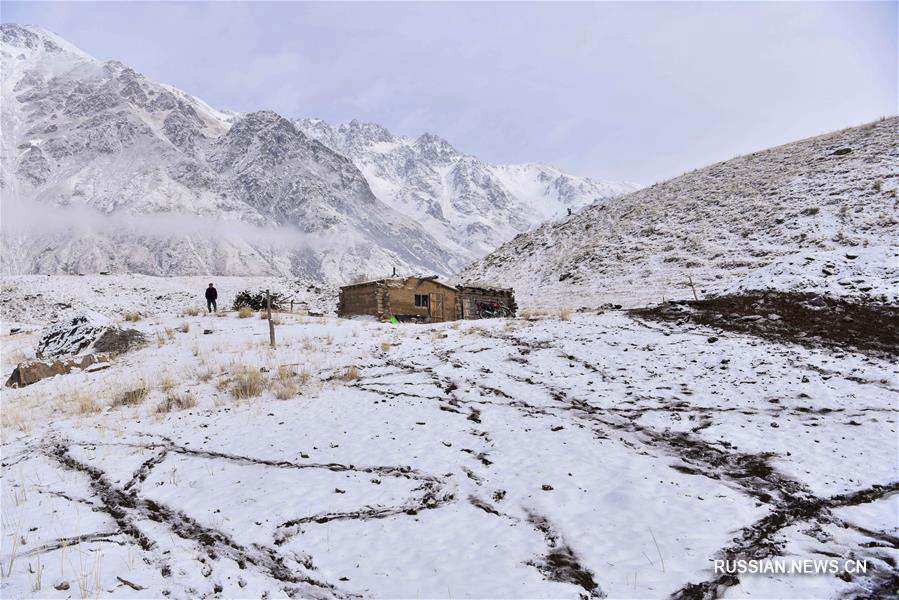 "Долина жизни" на высоте 2000 м над уровнем моря 