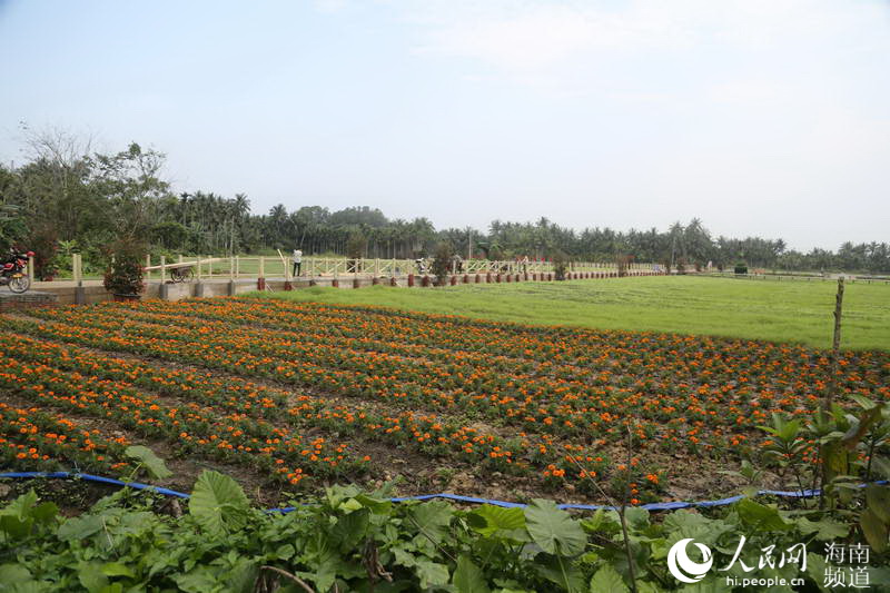 В поселке Боао города Цюнхай создают красивые деревни, чтобы крестьяне наслаждались общим использованием достижений развития