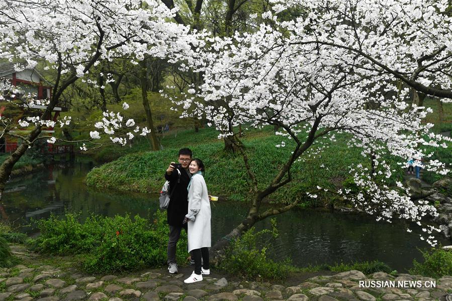 На фото -- весенние цветы в парке Тайцзывань на берегу озера Сиху в Ханчжоу /провинция Чжэцзян, Восточный Китай/. 